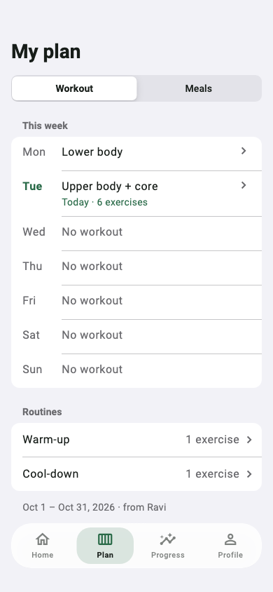The client's plan for the week